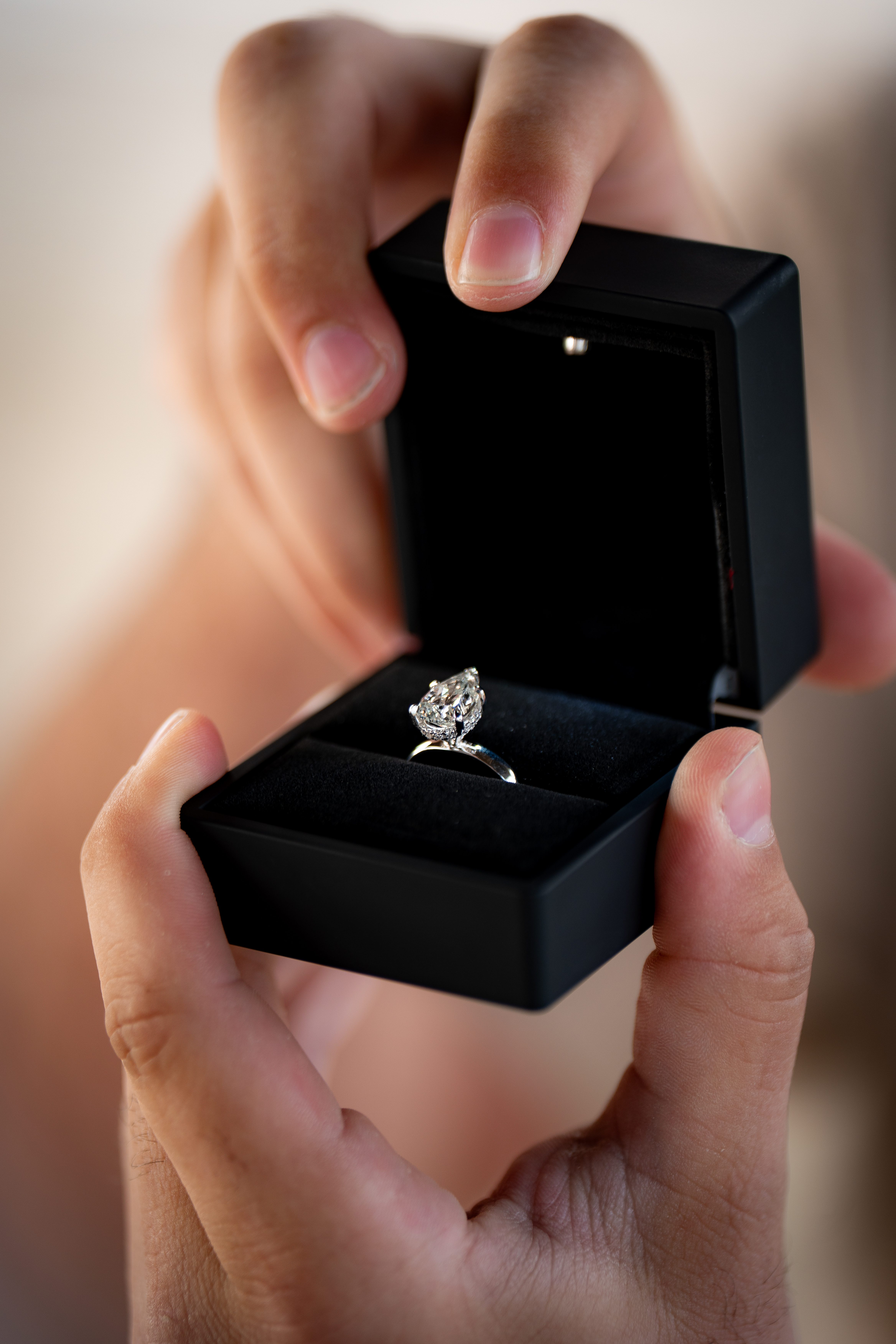 Golden Hour Proposal | Italia & NIck — photograph 7